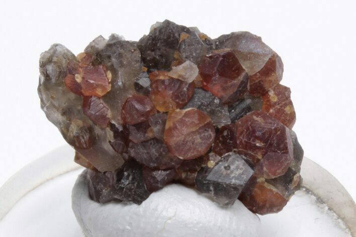 Gemmy Spessartine Garnets on Smoky Quartz - China #212275